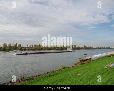 A cargo ship is sailing on the river, next to it a green meadow and a cloudy sky, autumn atmosphere on the Rhine with autumn leaves on the trees and s Stock Photo