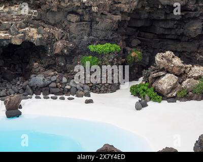 Stone wall with green plants and blue water, a peaceful natural setting, shimmering blue water in a pool with rocks and palm trees, lanzarote, Spain, Stock Photo