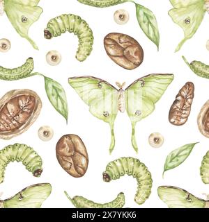 Watercolor luna moth life cycle seamless pattern, wild life repeat paper, insect textile background Stock Photo