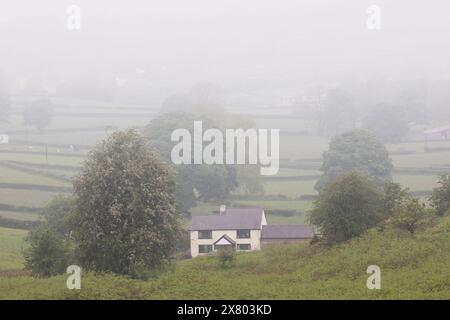 Flintshire, North Wales UK. UK Weather. 22nd May 2024, severe weather warning in place over North Wales with a Met Office Amber Warning for rain issued, Flintshire and North Wales.  A rual cottage in the village of Rhes-y-Cae as the Met Office Amber Warning fro Rain begins to fall in the region of Flintshire, North Wales ©DGDImages/Alamy Live News Stock Photo