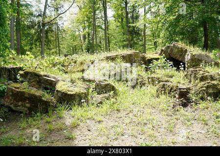 Ketrzyn, Gierloz, Poland - May 11th 2024 - Building remains at Wolf's Liar Stock Photo