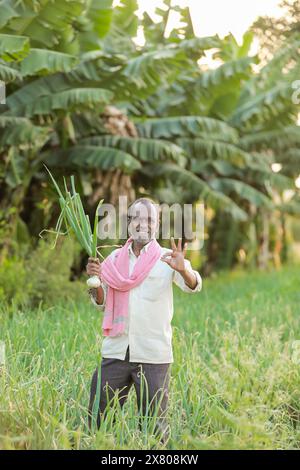 Indian farmer holding onion plant in onion farm Stock Photo