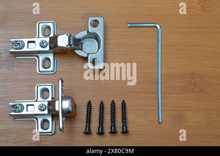 DIY equipment Tools on bamboo plywood background with soft closing hinges, screw, hex key Stock Photo