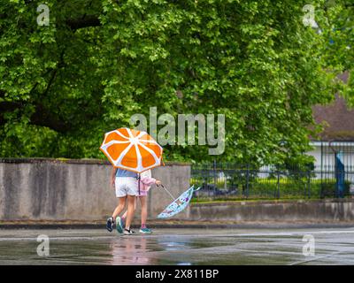 Two individuals walk with colorful umbrellas on wet pavement under green, leafy trees on a rainy day Stock Photo