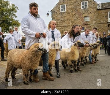 A row of sheep with their young owners, dressed in white coats at the Masham Sheep Fair. North Yorkshire, UK Stock Photo