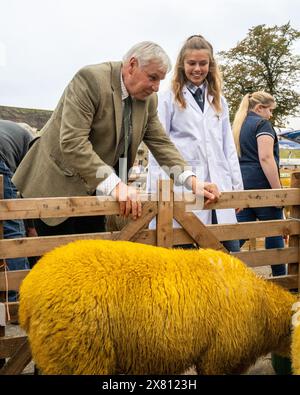 Judge inspecting sheep whilst its young female owner, dressed in a white coat, looks on at Masham Sheep Fair. North Yorkshire, UK Stock Photo