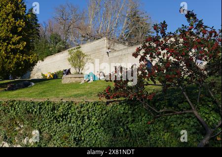 Woman lying on a sunlit grassy slope, looking at her cellphone. other people relax nearby, enjoying the tranquility. lush foliage frames the scene. Stock Photo