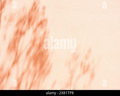 Minimal abstract silhouette shadow beige background of natural leaves of a tree branch falling on the wall. Transparent blurred shadow branch in the l Stock Photo