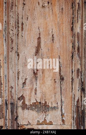 beautiful old wood texture, shabby by time Stock Photo