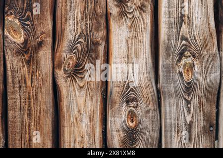 Beautiful wood texture with contrast traced fibers Stock Photo