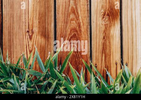 Beautiful wood texture with green grass at the bottom Stock Photo