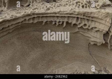 Close-up of sandstone rocks showcasing detailed honeycomb weathering patterns and natural textures. Ideal for geological studies and nature themes. Stock Photo