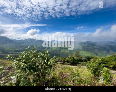 Eravikulam National Park situated in the Kannan Devan Hills near Munnar. It is located in the Devikulam Taluk of Idukki district in Kerala Stock Photo