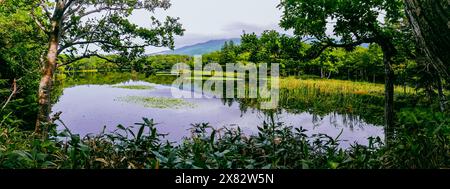 Panoramic view in late summer over the Yonko lake of Shiretoko Goko Lakes in Shiretoko National Park, a UNESCO World Natural Heritage site in Hokkaido Stock Photo