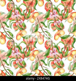 Watercolor branch of peach tree with fruit and flowers seamless pattern isolated on white. Fig peaches and leaves painted. Chines peaches hand drawn. Stock Photo