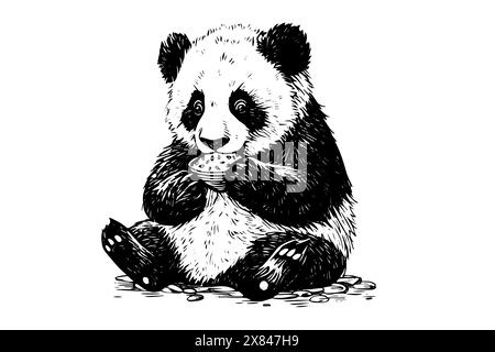 Panda hand drawn ink sketch. Engraved style vector illustration. Stock Vector