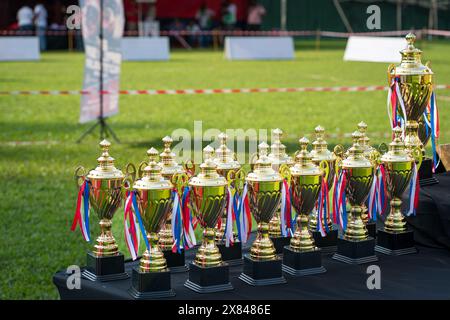 Group of trophy cups for an outdoor sports event. Stock Photo