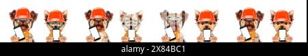 Fixing computer and repair center concept with cute dogs. Template for web page with 404 error, page is lost and not found message, under construction Stock Photo