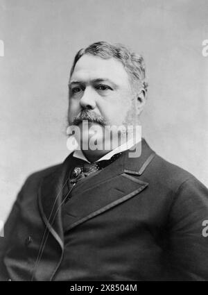 Chester Arthur, head-and-shoulders portrait, facing left. Circa 1882. By Charles Milton Bell. Stock Photo