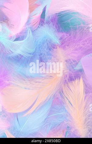 Colorful feather on mint background, top view. Stock Photo