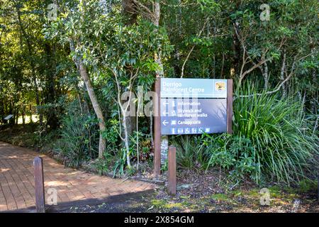 Dorrigo national park in regional New South Wales with national parks sign for rainforest and skywalk walks and information centre,NSW,Australia Stock Photo