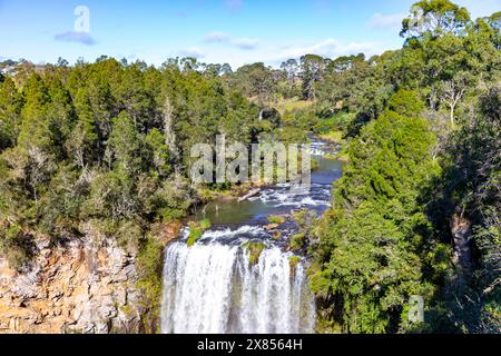 Dangar Falls Dorrigo, Bielsdown river in Dorrigo flowing into the Dangar Falls waterfall, New South Wales,Australia,May 2024 Stock Photo