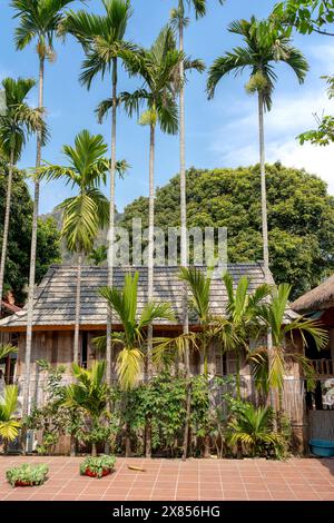Rural Vietnam: bamboo house with green areca trees in front of the yard. Peaceful image Stock Photo