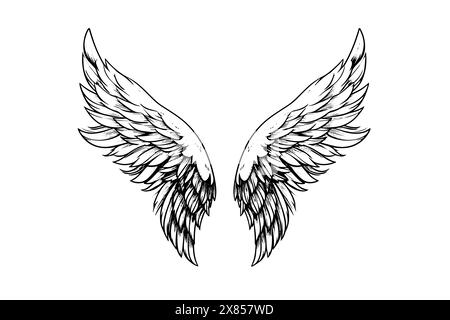 Angel wings ink sketch in engraving style. Hand drawn fenders vector illustration. Stock Vector