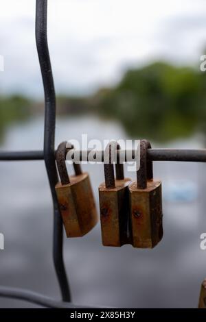 Close-up image of multiple rusty padlocks on a metal fence, symbolizing security, time, and decay. Stock Photo