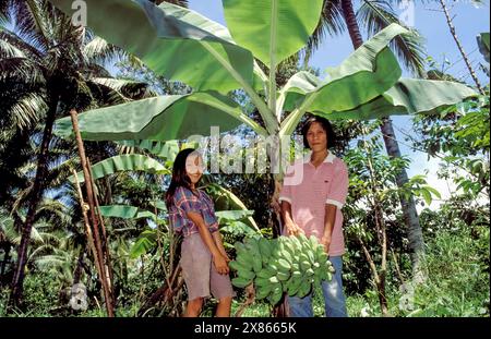 Philippines, Kilate, Mindanao; Mother and daughter with a picked bunch of bananas in their forest garden with different types of fruit trees. Stock Photo