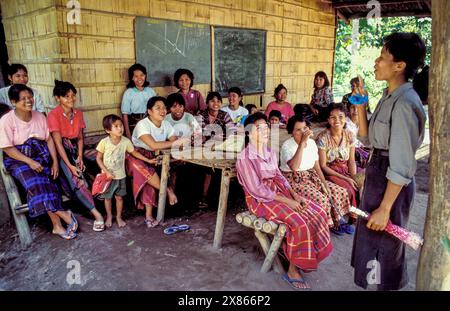 Philippines, Mindanao; Collaborating women are informed about agricultural methods. Stock Photo