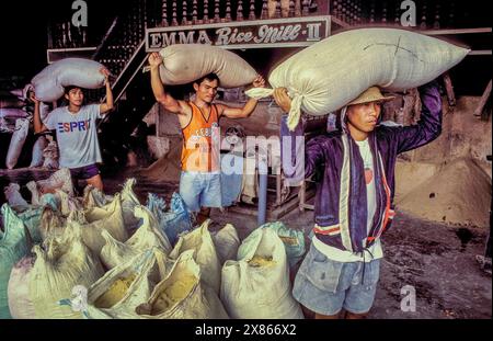 Philippines, Mindanao, Men carrying bags of rice flour at a rice mill. Stock Photo