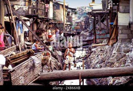 Philippines, Manila; Little boy on a plank over an open sewer of the slum he lives in. Stock Photo