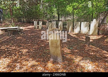 Historical graveyard under a magnolia tree on Daufuskie Island in Beaufort County, South Carolina Stock Photo