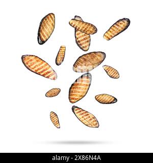 Slices of grilled eggplants in air on white background Stock Photo