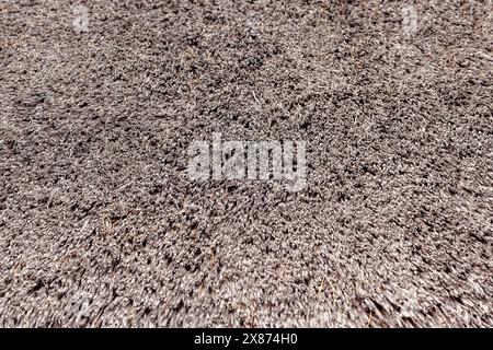 Thatched Straw Roof Texture Background, full frame. Stock Photo