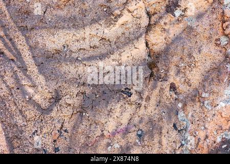 A beige old painted concrete wall is finely splattered with brown colour paint. Stock Photo