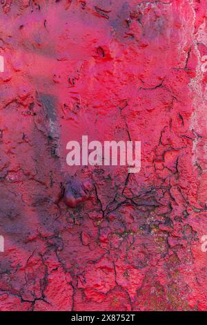 A crimson red, shiny, uneven, chipped, and cracked old concrete wall. The layer texture with black cracks is interesting. Stock Photo