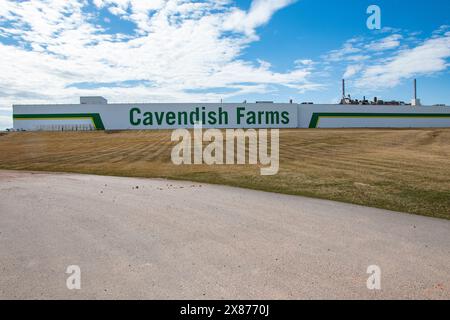 Cavendish Farms sign in Kensington, Prince Edward Island, Canada Stock Photo