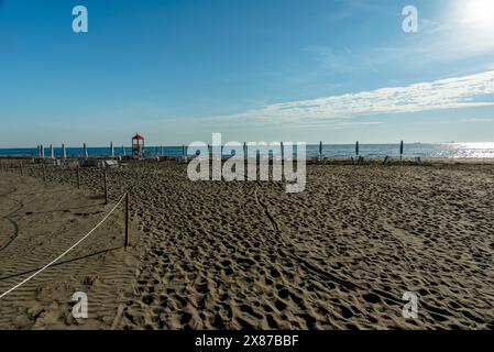 autumn beach with the green sea and winter debris abandoned on the wet sand near the walls at the Lido of Venice in Veneto Italy Stock Photo