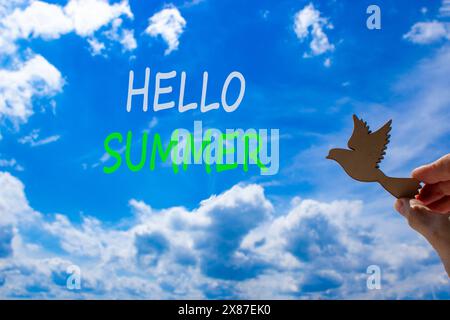 Hello summer symbol. Concept words Hello summer on beautiful sky. Beautiful blue sky cloud background. Businessman hand with wooden bird. Business lif Stock Photo
