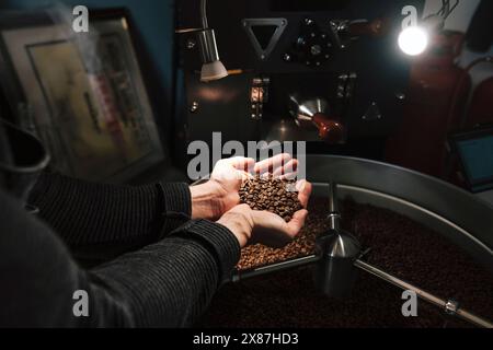 Coffee roaster holding roasted coffee beans in hands Stock Photo