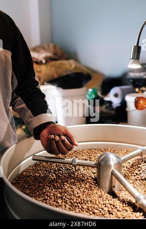 Coffee roaster with roasted coffee beans in machine Stock Photo