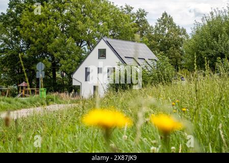 House with solar panels on rooftop in garden Stock Photo