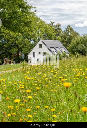 House with solar panels on roof amidst flowers in garden Stock Photo