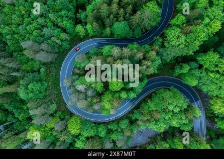 Germany, Bavaria, Aerial view of car driving along asphalt road winding through green forest in Bavarian Alps Stock Photo