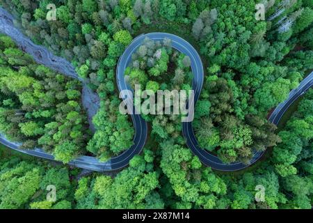 Germany, Bavaria, Aerial view of asphalt road winding through green forest in Bavarian Alps Stock Photo