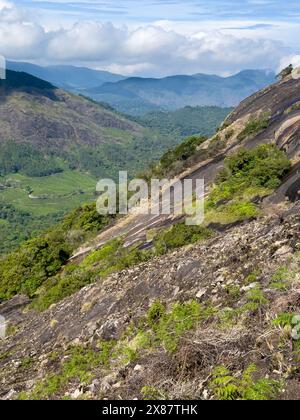 Eravikulam National Park situated in the Kannan Devan Hills near Munnar ...