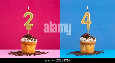 Two birthday cupcakes with the number 2 and 4 - Blue and pink background Stock Photo
