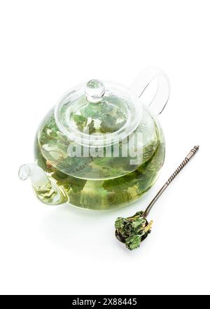 Tea in  a glass teapot with leaves of black currant isolated on white Stock Photo